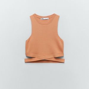 Zara Cut Out Knit Crop Top